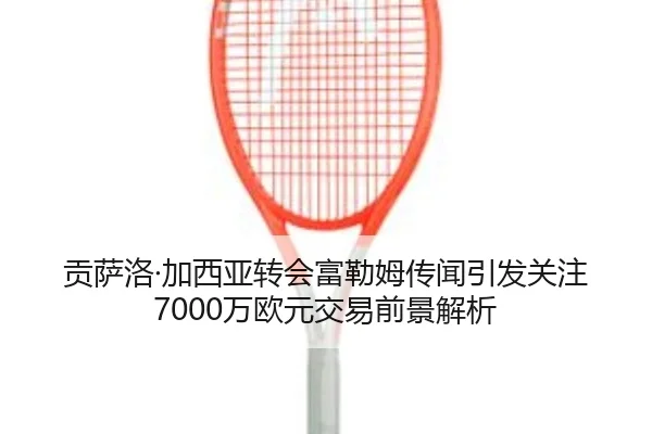 贡萨洛·加西亚转会富勒姆传闻引发关注 7000万欧元交易前景解析